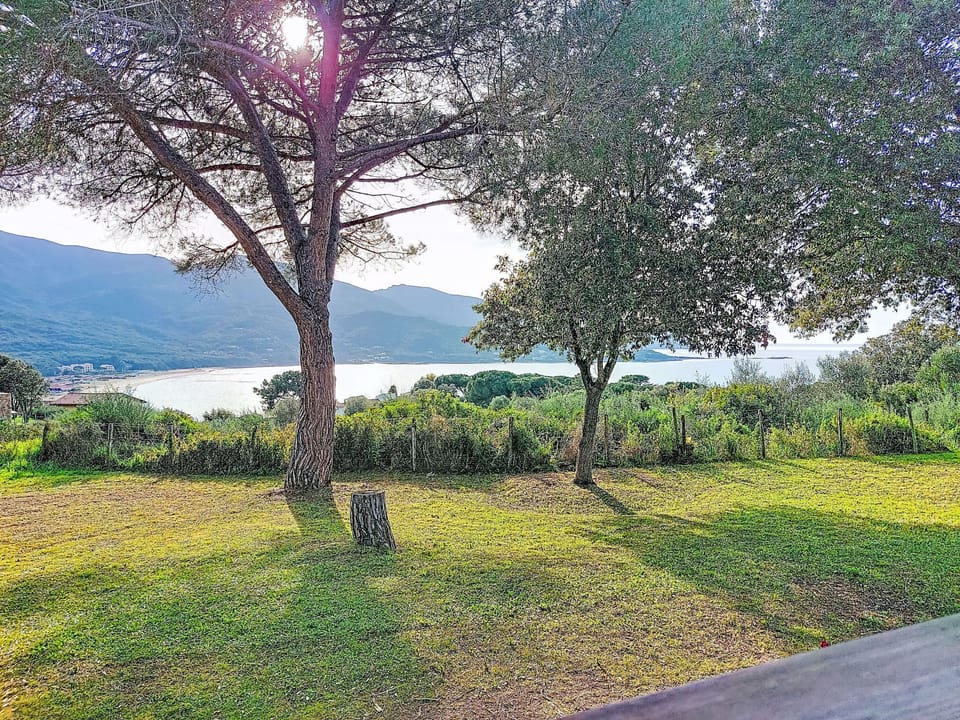 Outdoor