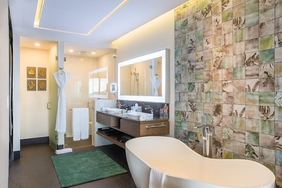 Private bidet toilet, standing shower and bathtub