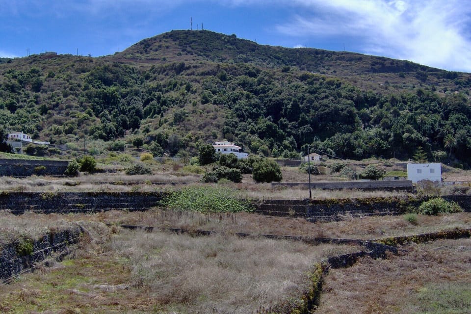 Immediate Surroundings [summer] (<1 km)