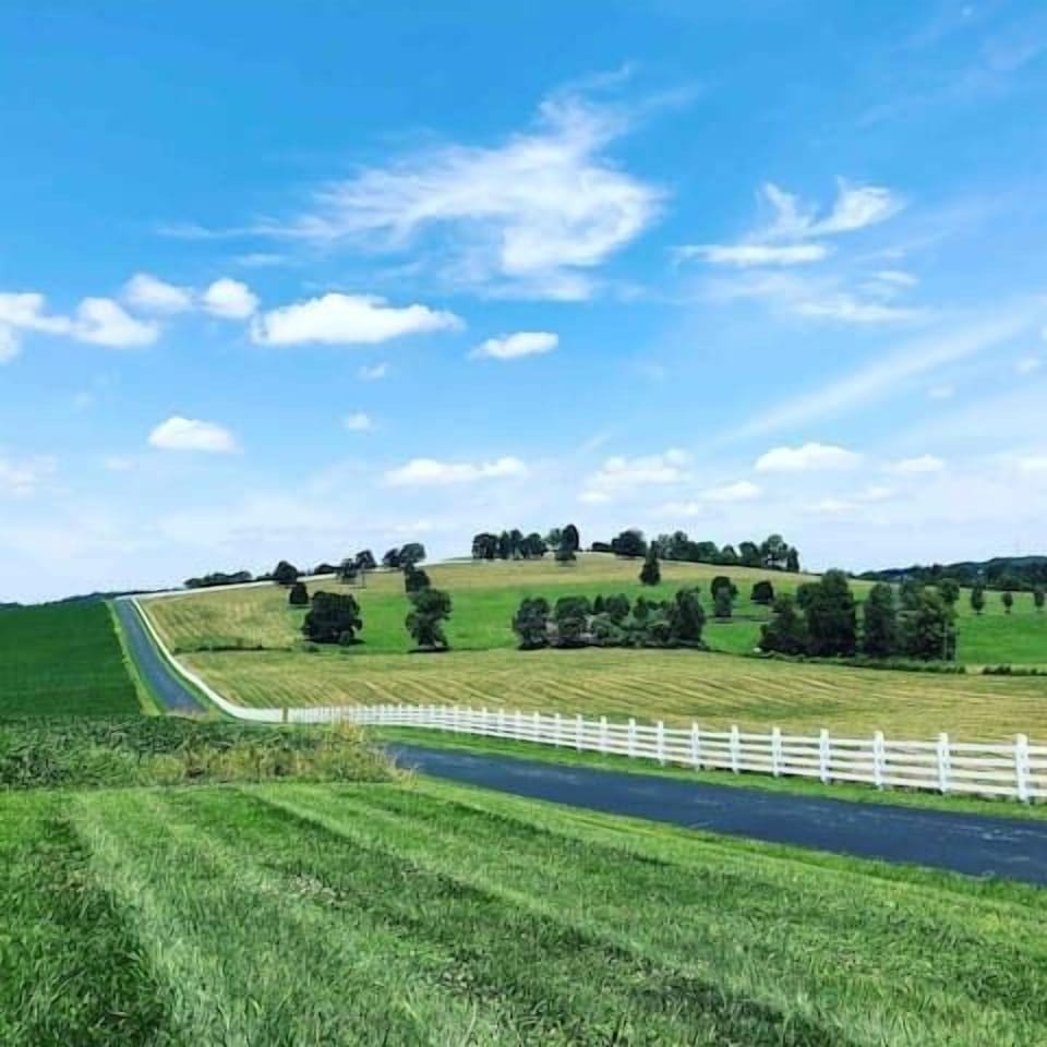 Scenic Drive to the Property