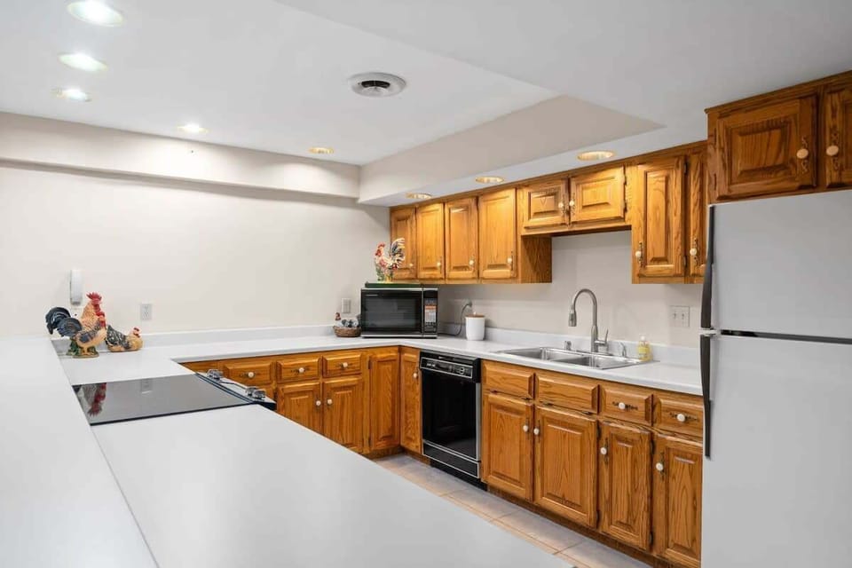 Basement Kitchen with all the Essentials