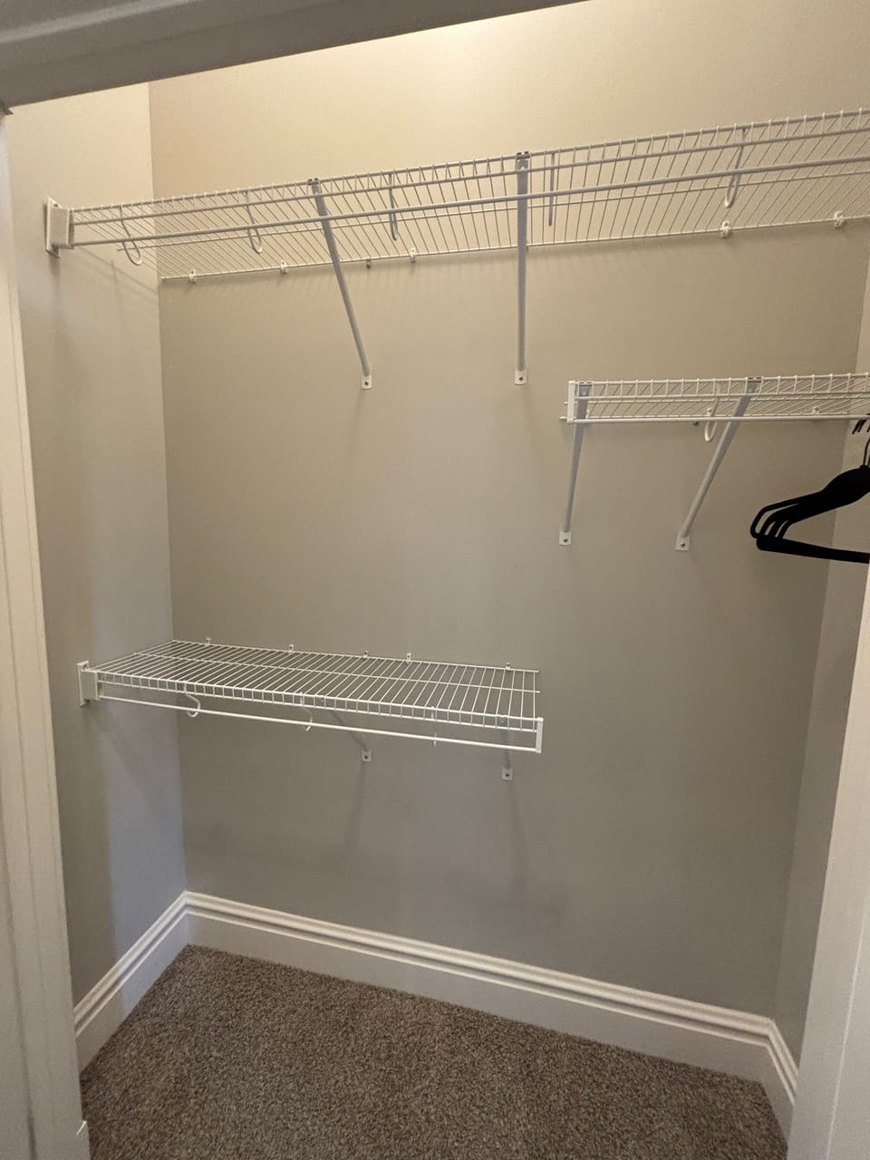 Spacious guest closet