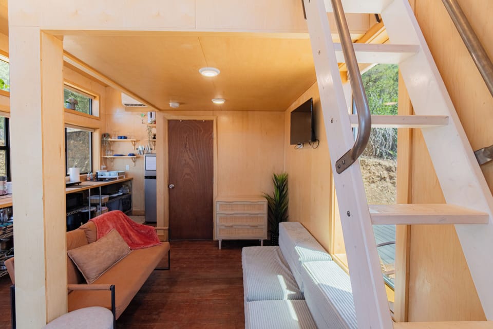 Sunlit tiny home with loft ladder, cozy lounge, and warm wood interiors