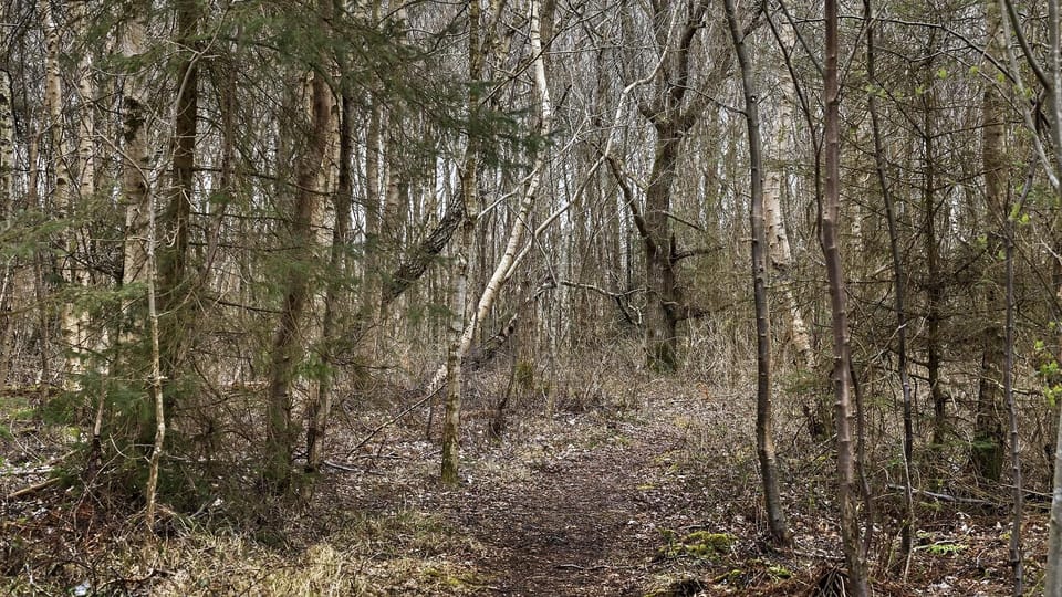 area