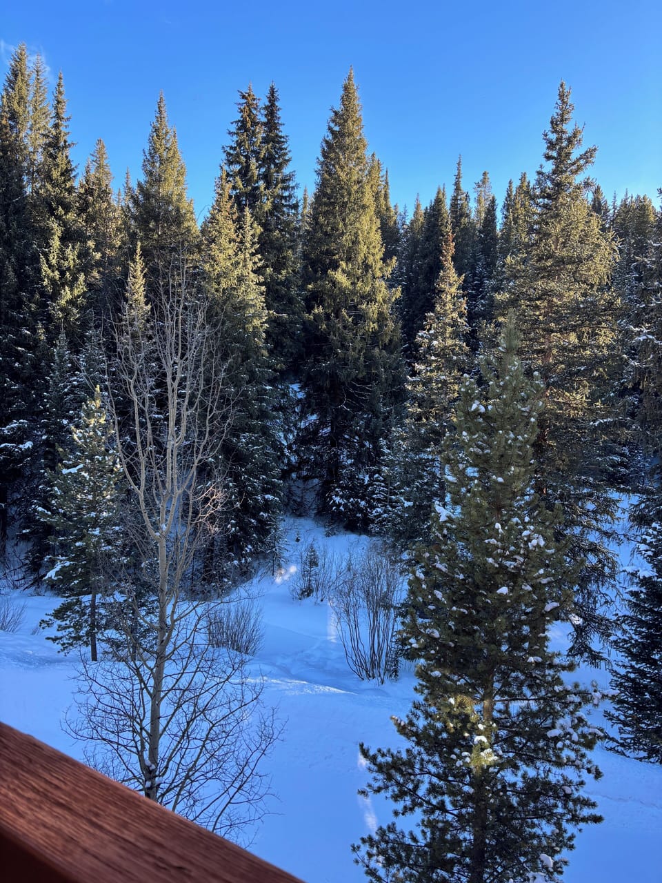 View from master bedroom deck