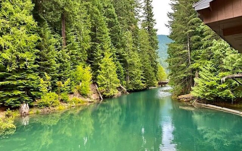 Packwood Lake Trailhead - 5.8 miles away from the property