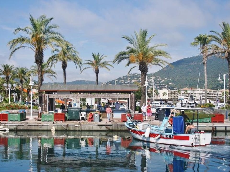 Marina