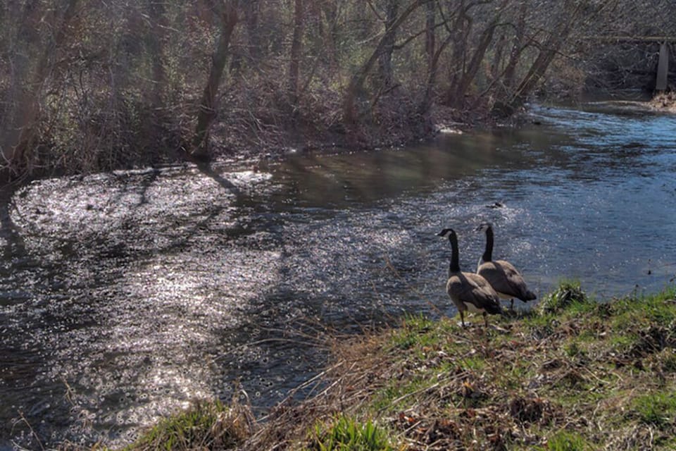 137454Cl5YayY0-20210319234548