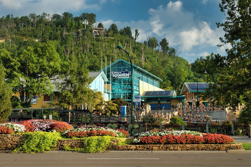 Ripley's Aquarium