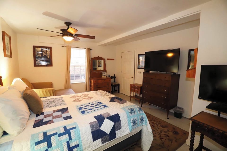 Downstairs bedroom