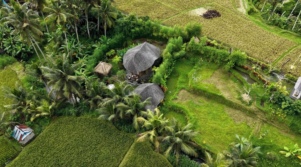 Birds View