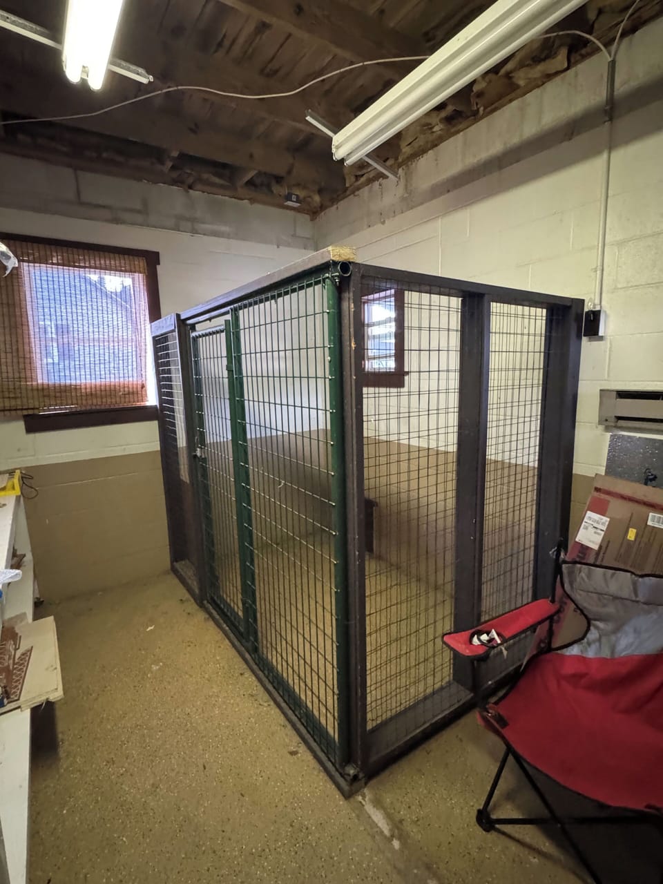Dog Kennel in basement area.