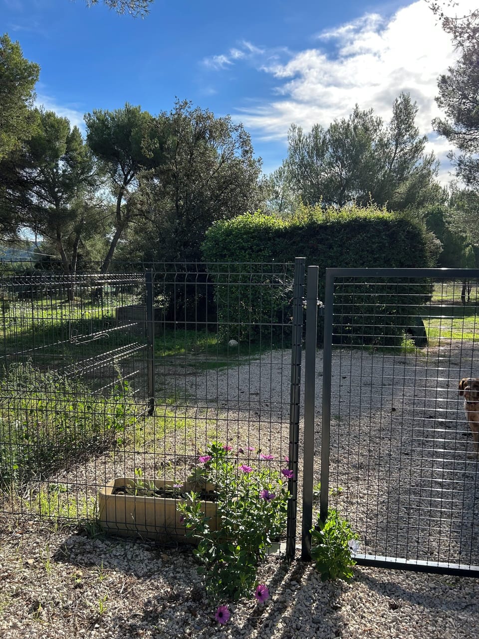 Property grounds