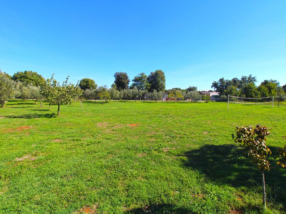 Outdoor