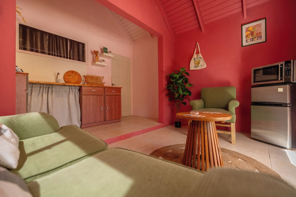 Cozy living space with kitchenette, perfect to relax