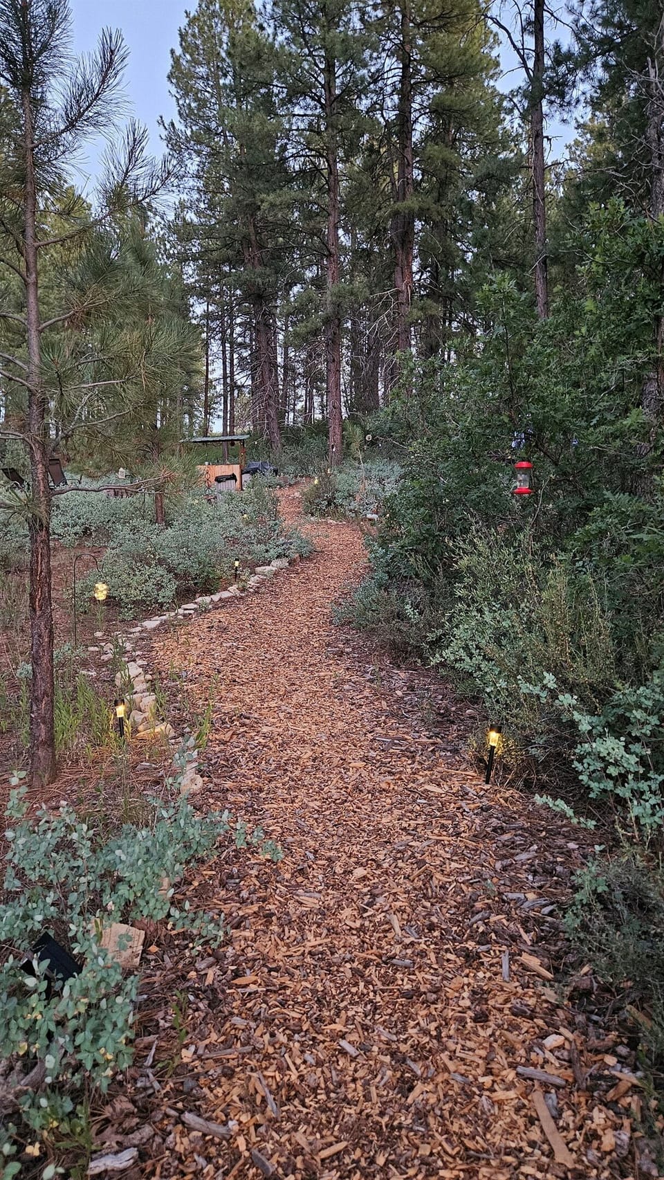 Path to the cabin