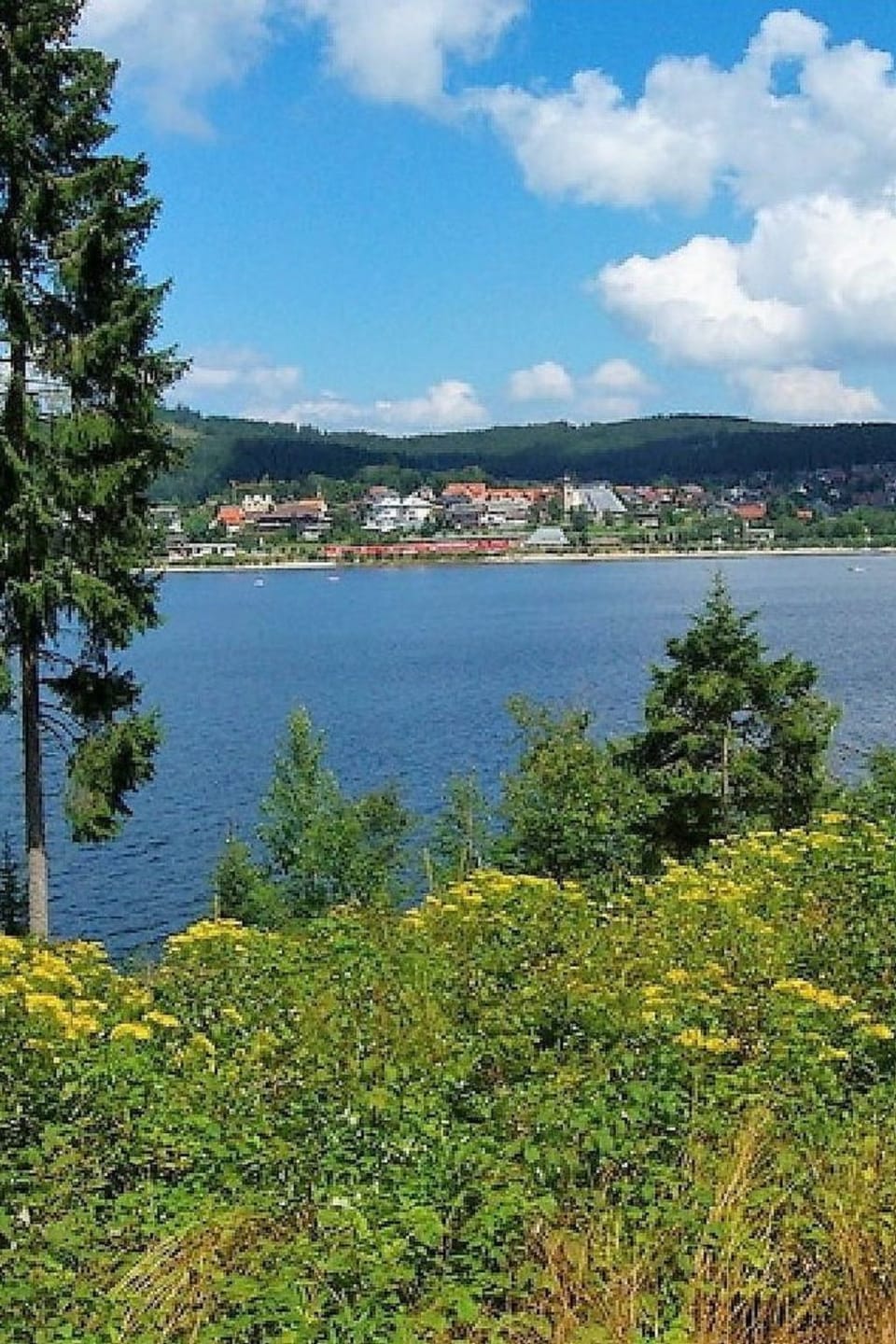 View