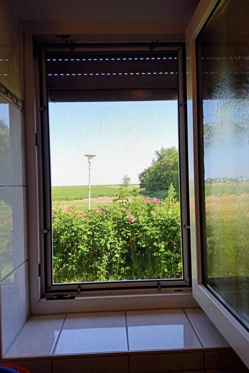 View