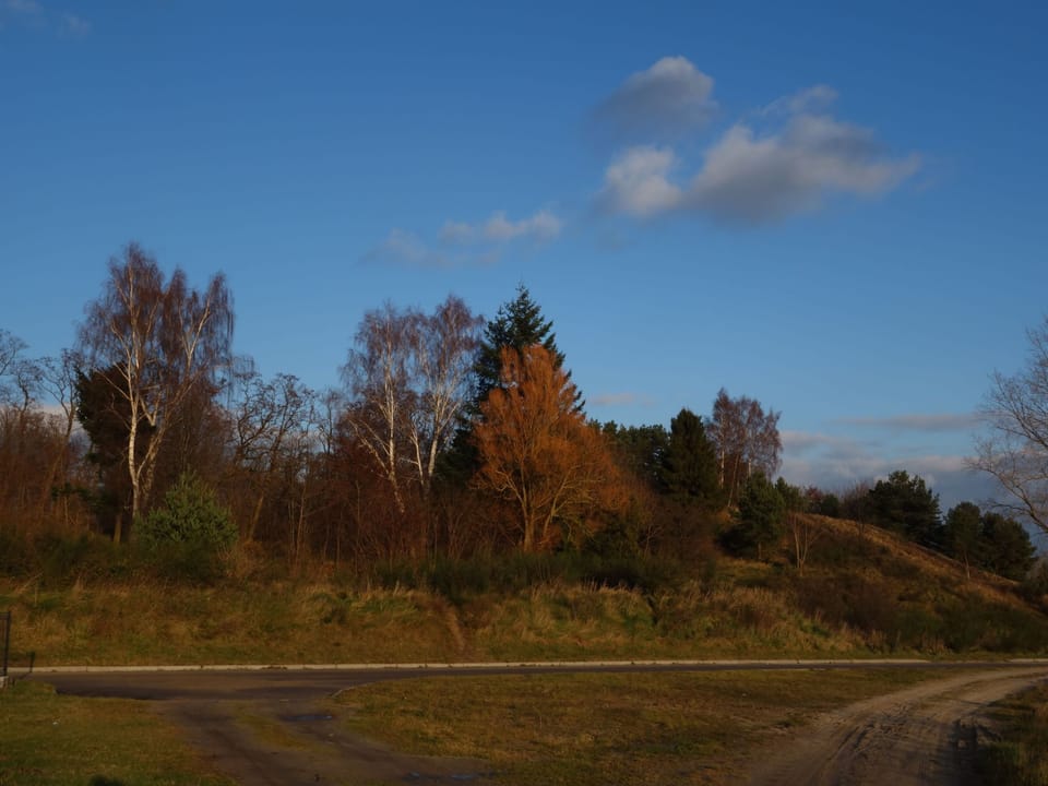 Miscellaneous