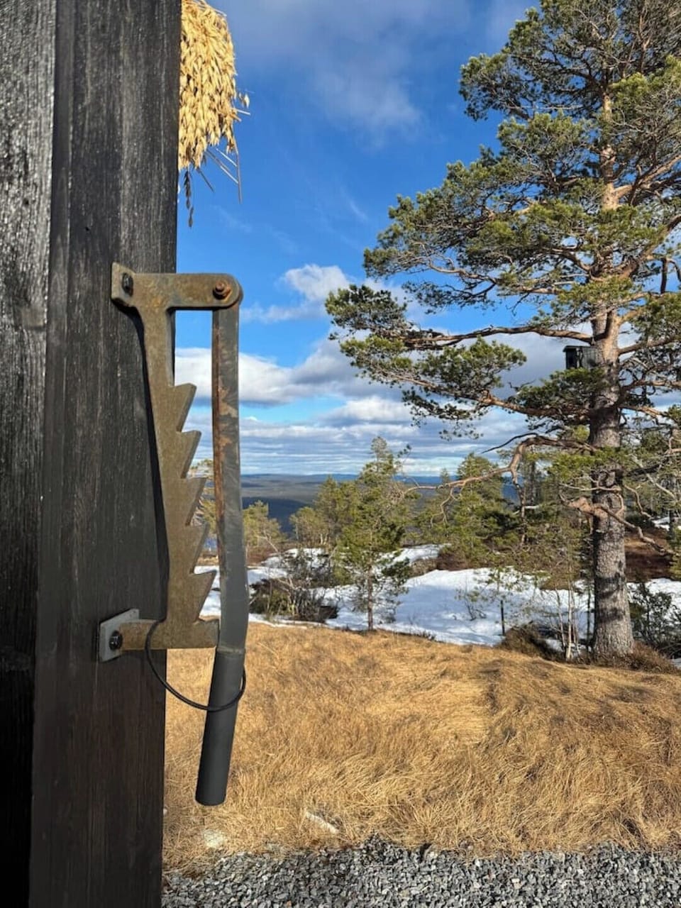 View from property