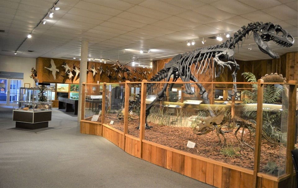 Brazosport Museum of Natural Science - 2.2 miles away from the property