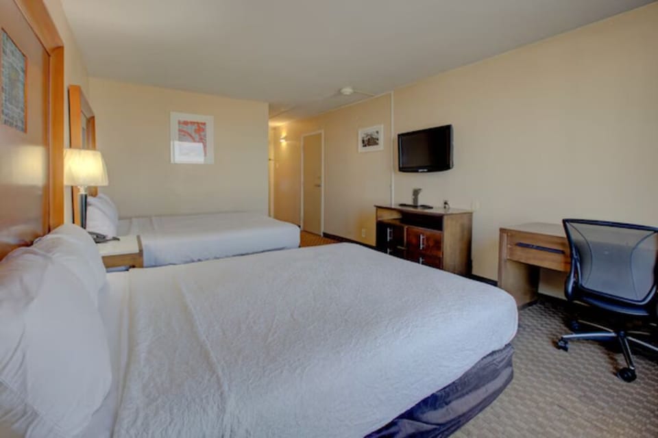 Lounge comfortably with plenty of space to unpack and breathe.