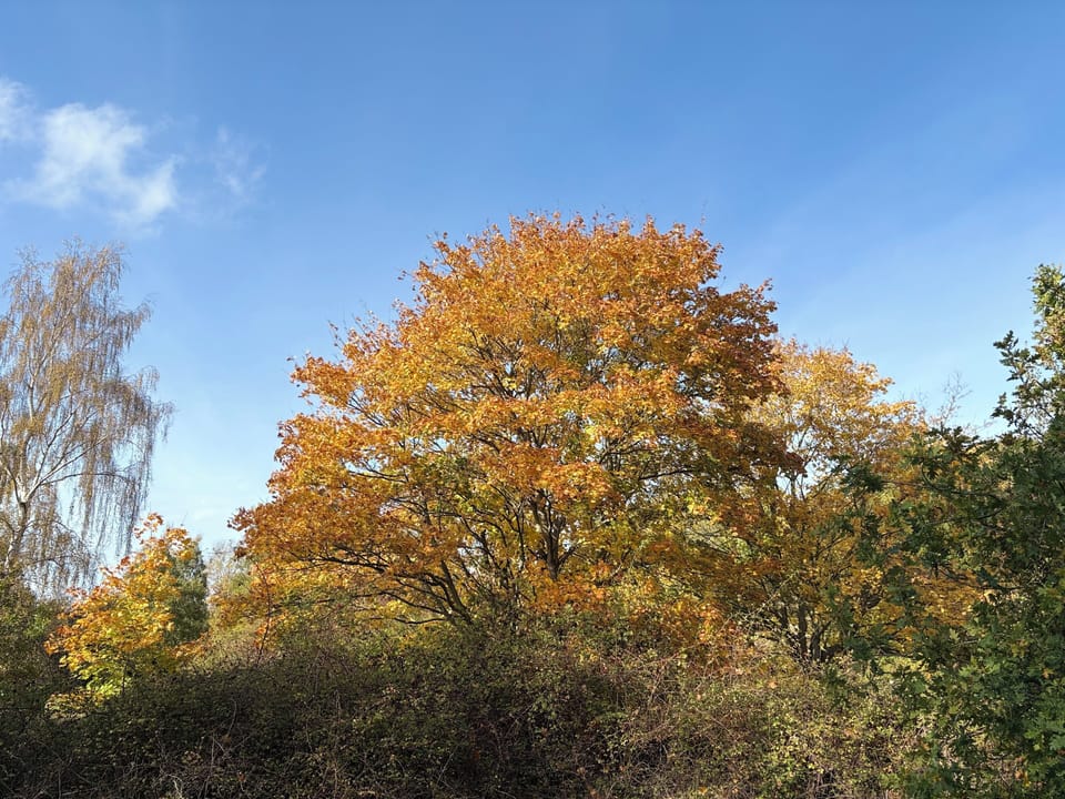 Holton Pits, open space (20-acres) short walk away.