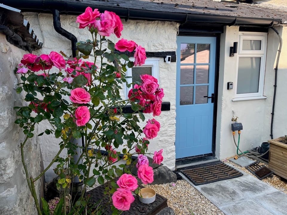 Rear Door and Roses