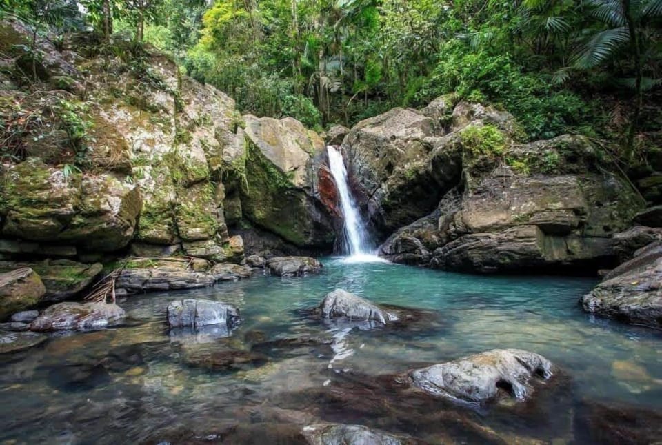 Discover the beauty of El Yunque! Hike through lush rainforest and take a refreshing dip in this stunning waterfall, a 29 min drive from the house. 