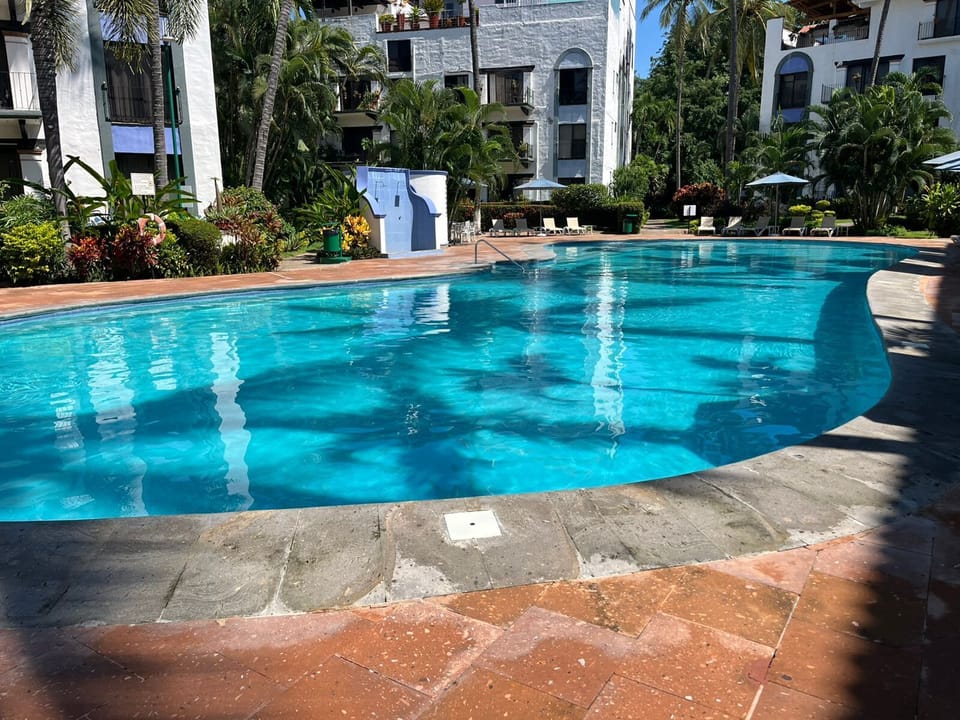 Shared pool whit sun loungers 