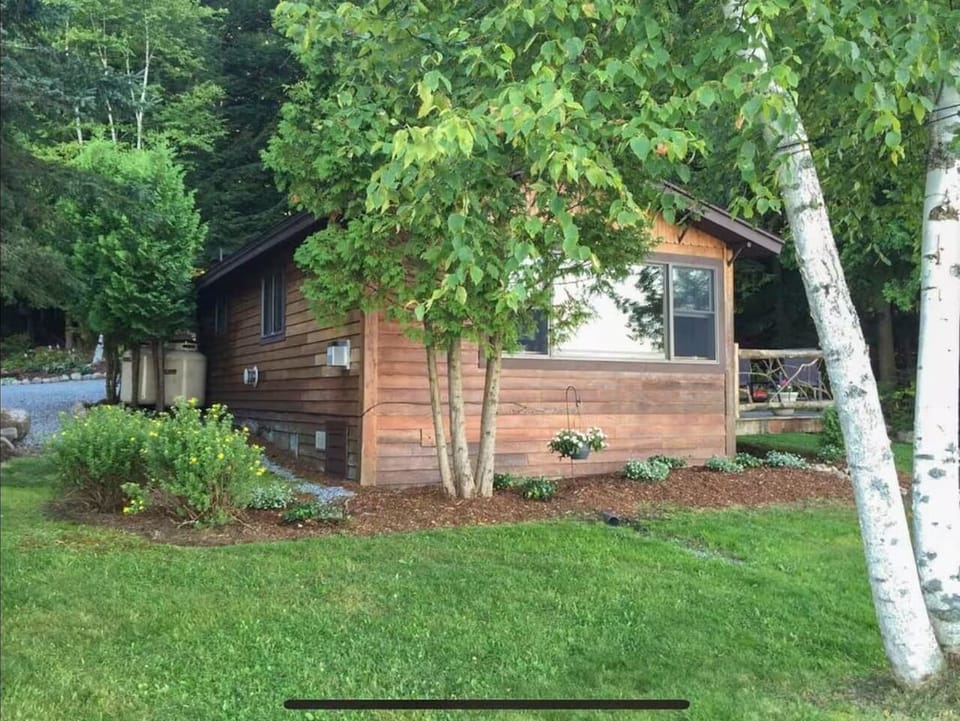 Loon Cabin lawn