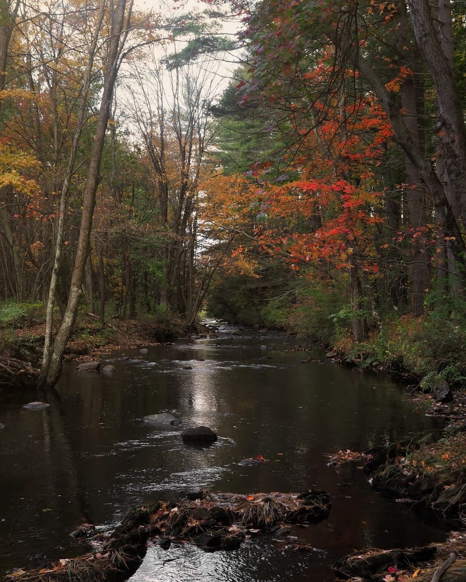 argyll-house_house_harwinton-ct-usa_exterior-woods-1721681660498.jpg