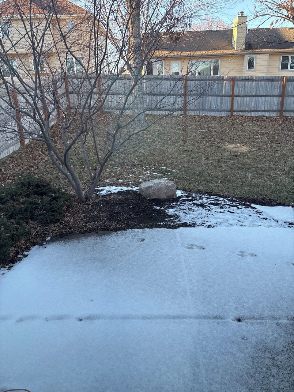 Fenced backyard