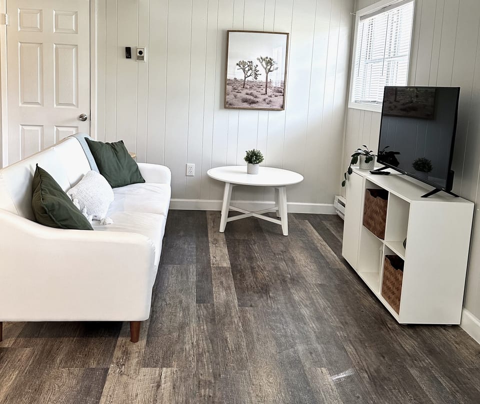 Living room with fold out couch, Smart TV, and large closet for storage