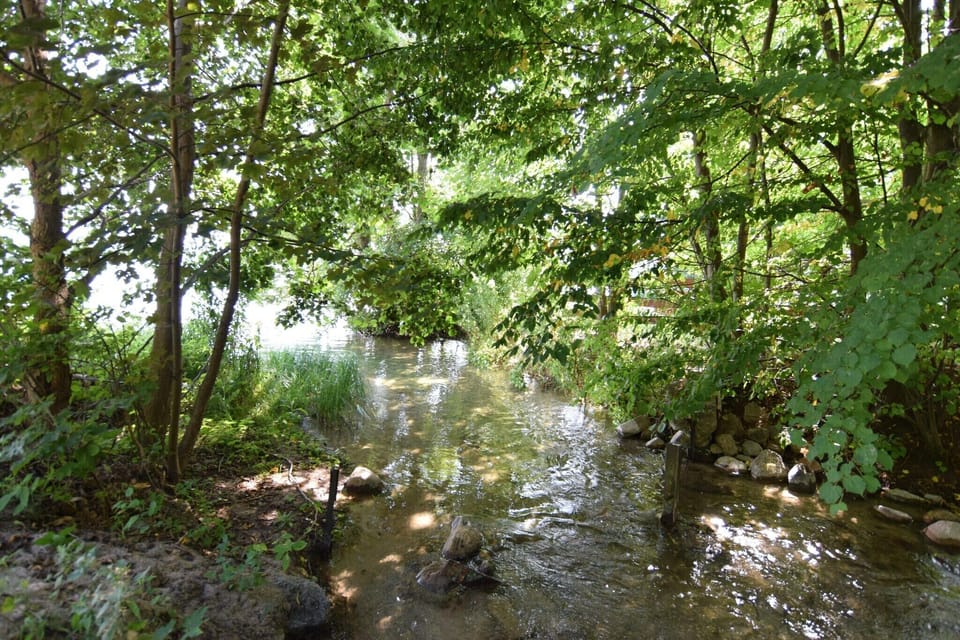 Immediate Surroundings [summer] (<1 km)