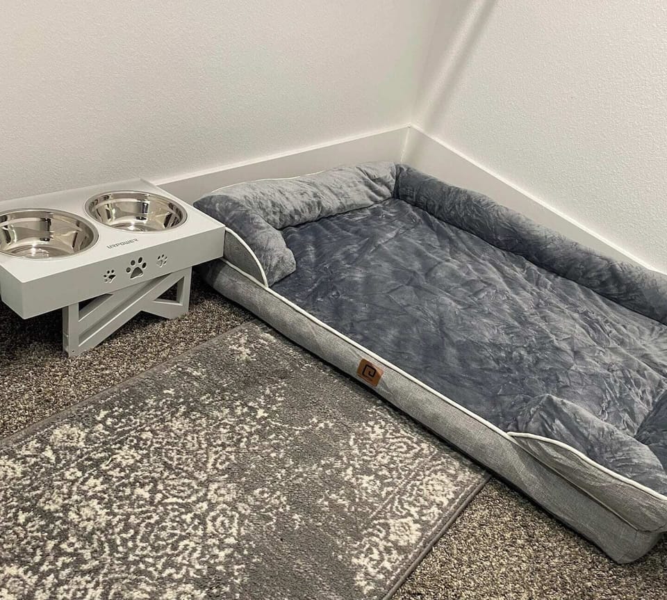 Pet-friendly accommodations 