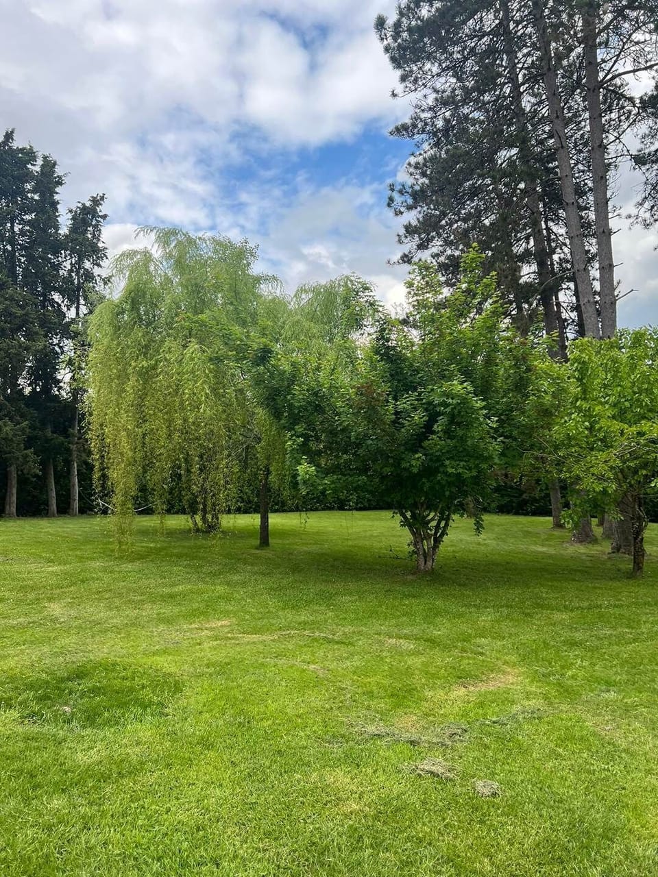 Vue Jardin arboré 3