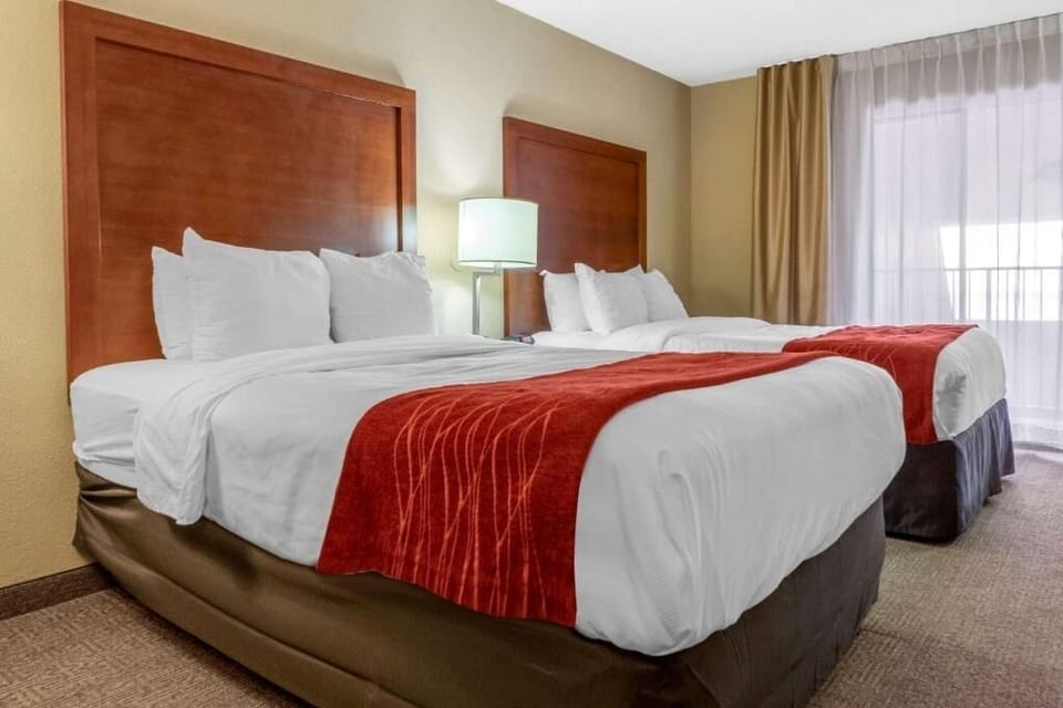 Drift off comfortably with soft duvets and warm bedside lamps.