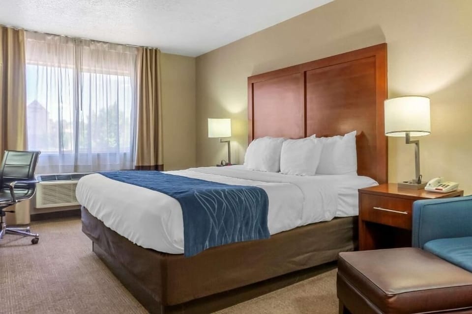 Settle into a sunlit room with plush pillows and calm.
