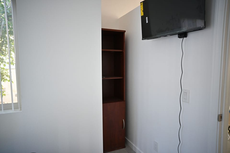 Television