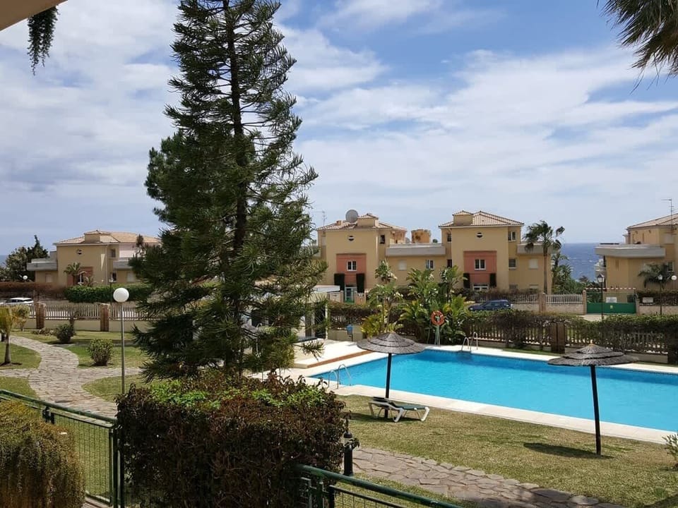 Pool and garden