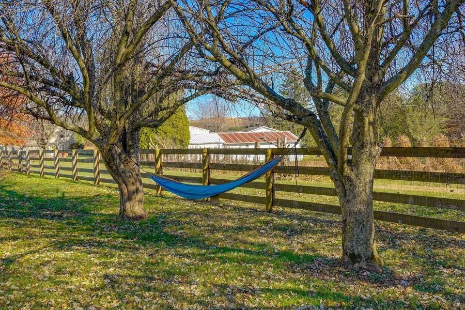 Backyard | Hammock | Shade Trees & Fence Views