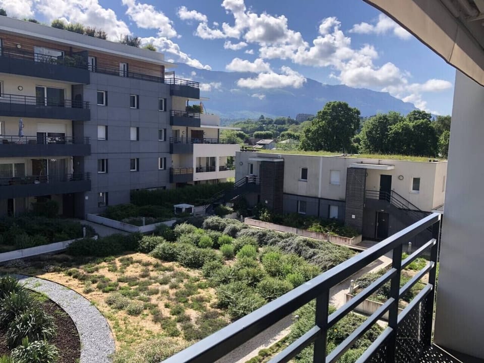 Vue