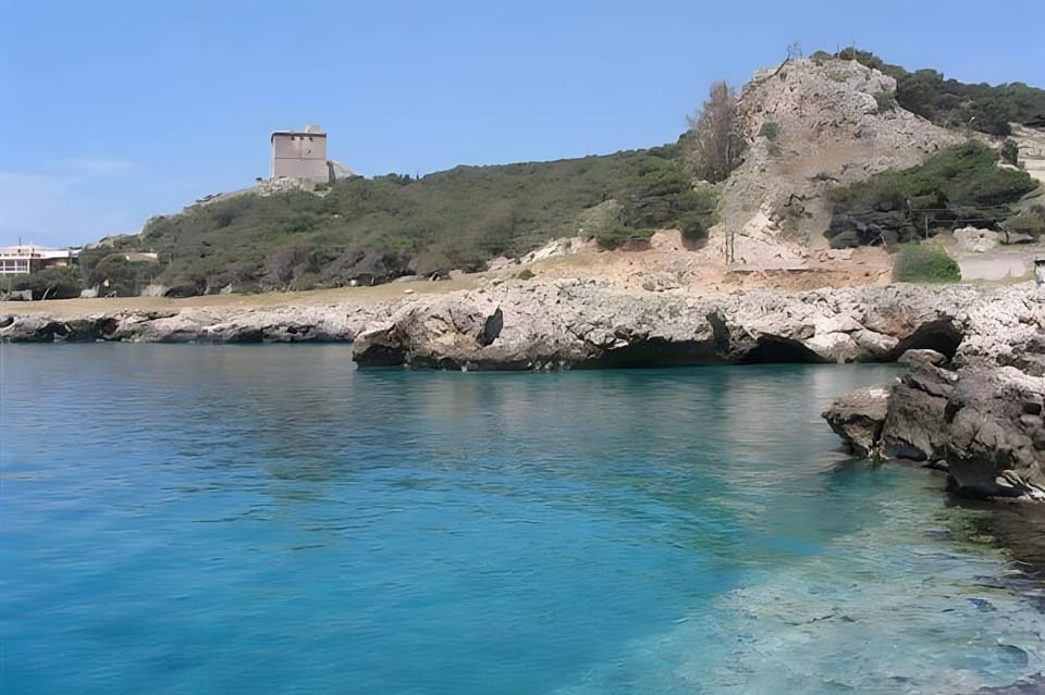 Miscellaneous