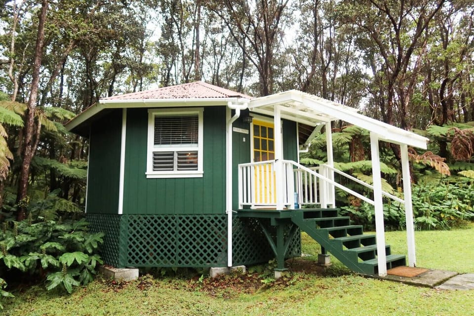 A jungle cottage