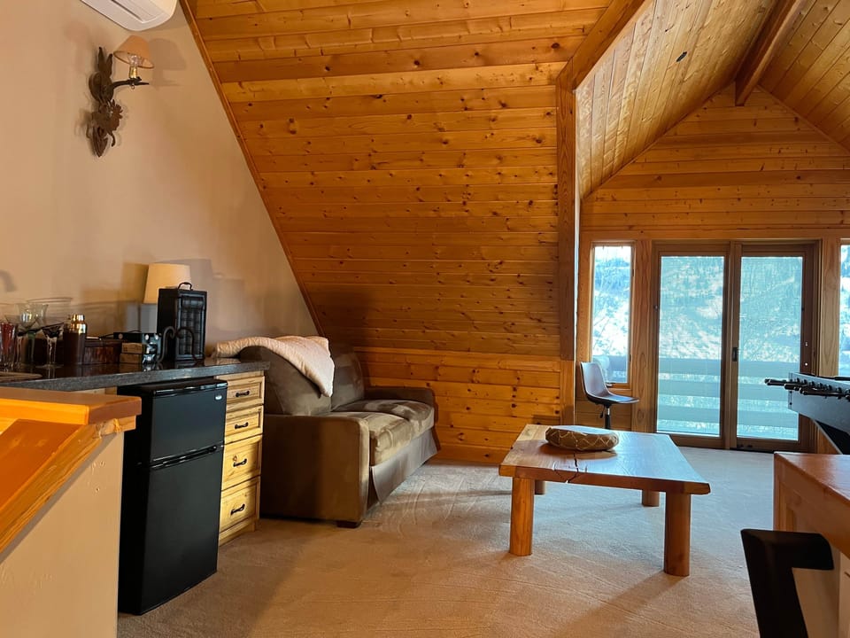 Loft Queen Pullout & Wet Bar