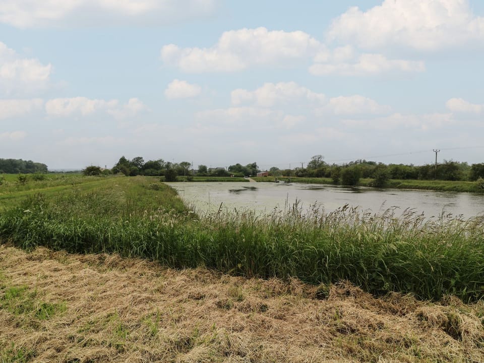 Miscellaneous