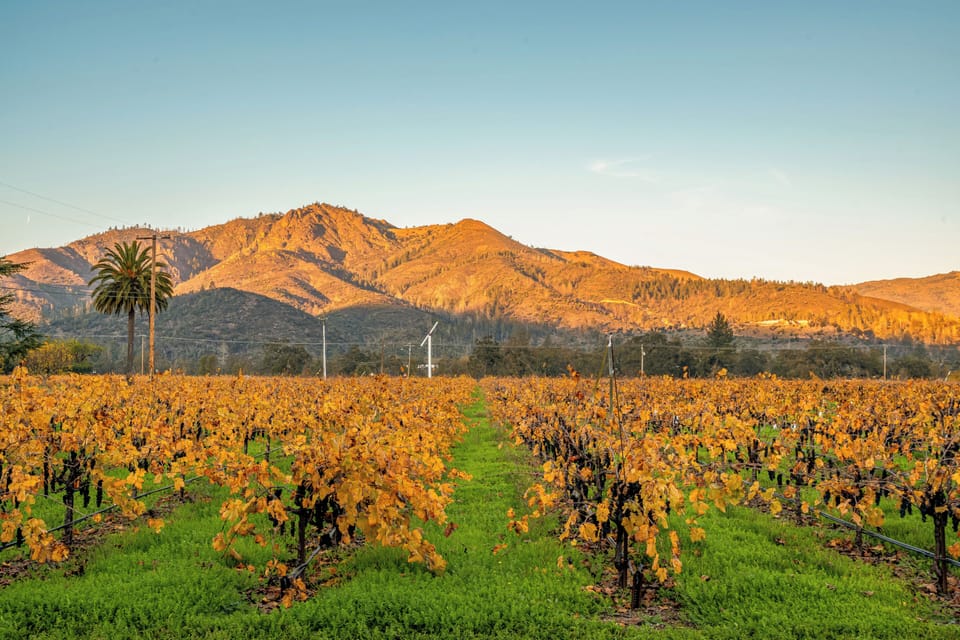 Golden autumn vineyard stretches toward dramatic mountains, creating a picturesque wine country landscape near the property.