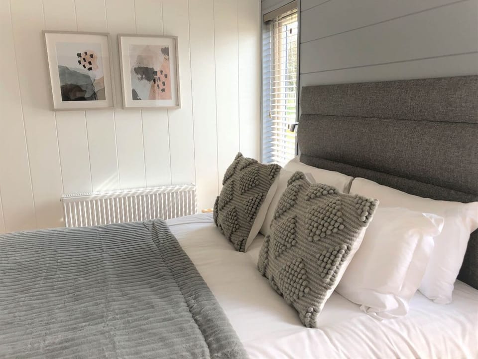 Dream View