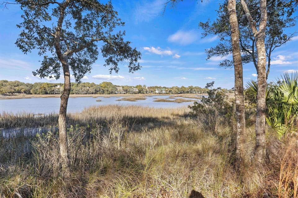 Marsh views